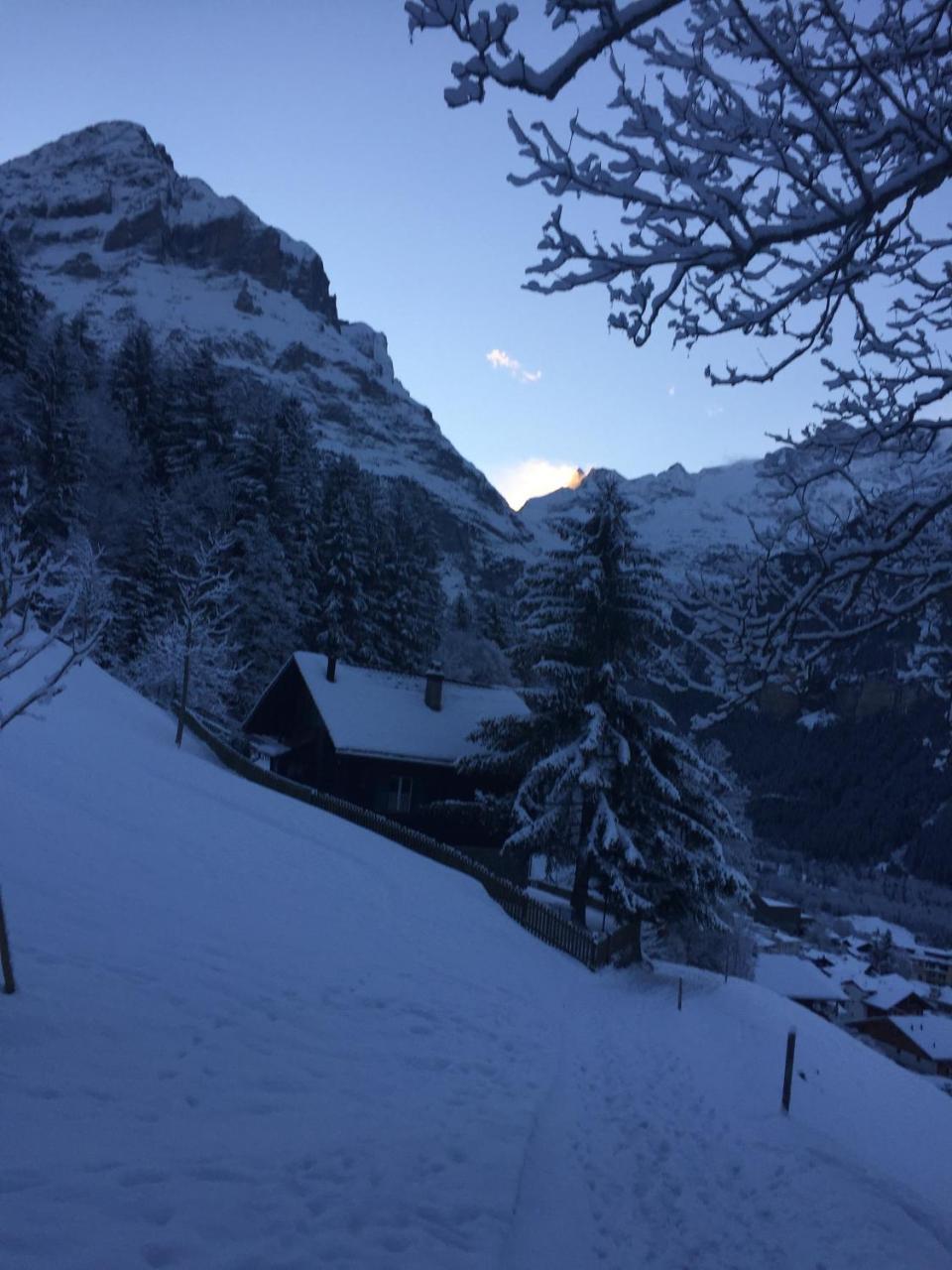 Chalet Gruenegg Appartement Grindelwald Buitenkant foto