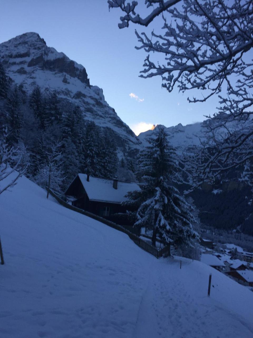 Chalet Gruenegg Grindelwald Buitenkant foto