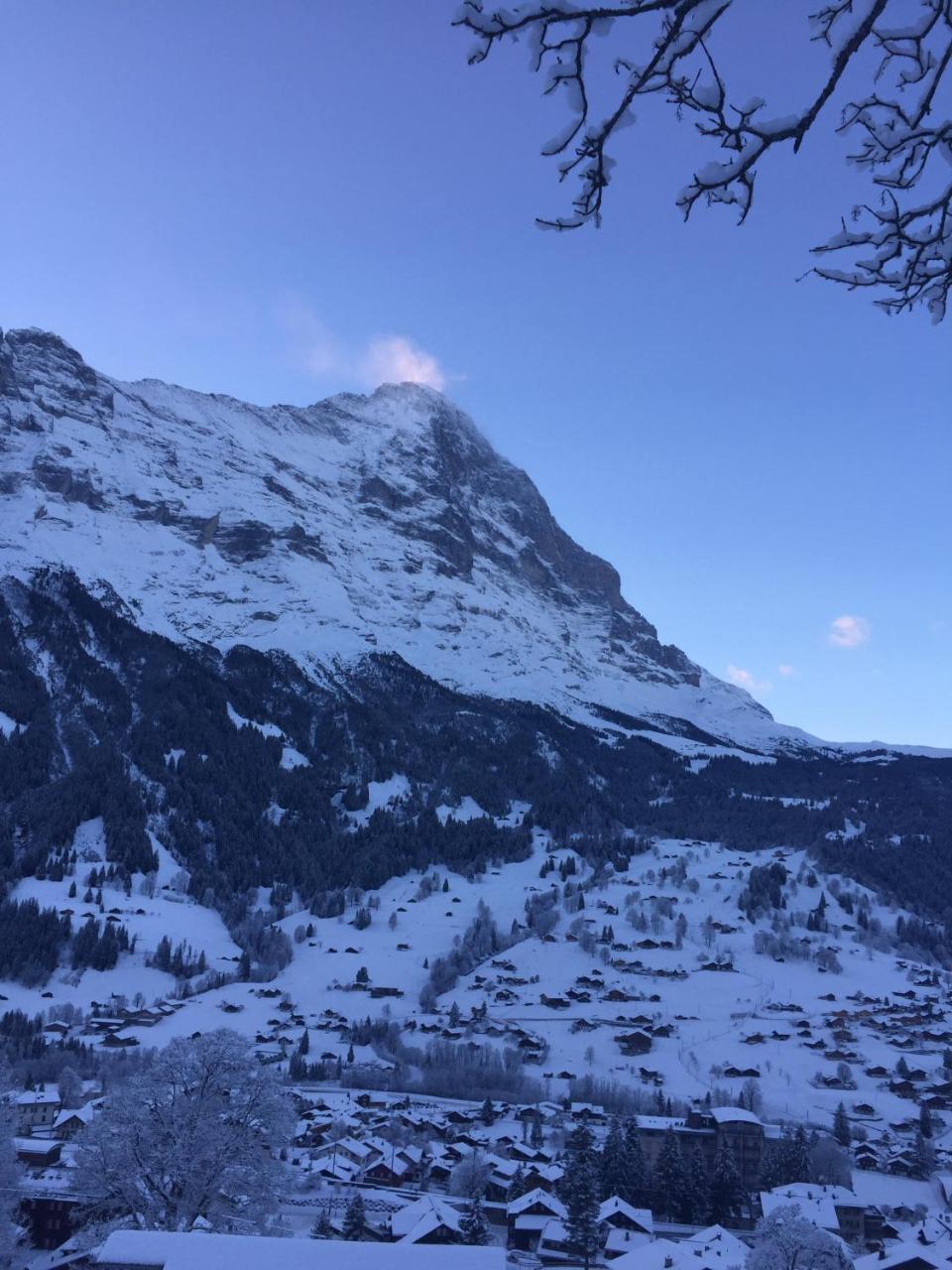 Chalet Gruenegg Appartement Grindelwald Buitenkant foto