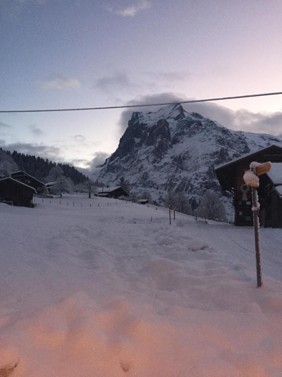 Chalet Gruenegg Appartement Grindelwald Buitenkant foto